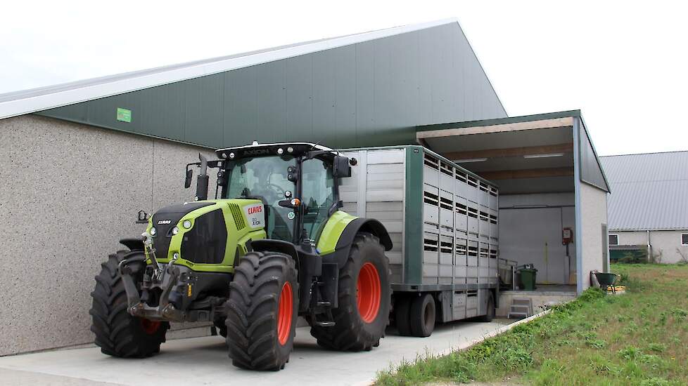 Dinsdag worden biggen geladen. Twee derde laden ze zelf, die biggen van 10 weken wegen zo’n 25 kilogram, en gaan naar een zwager even verderop.