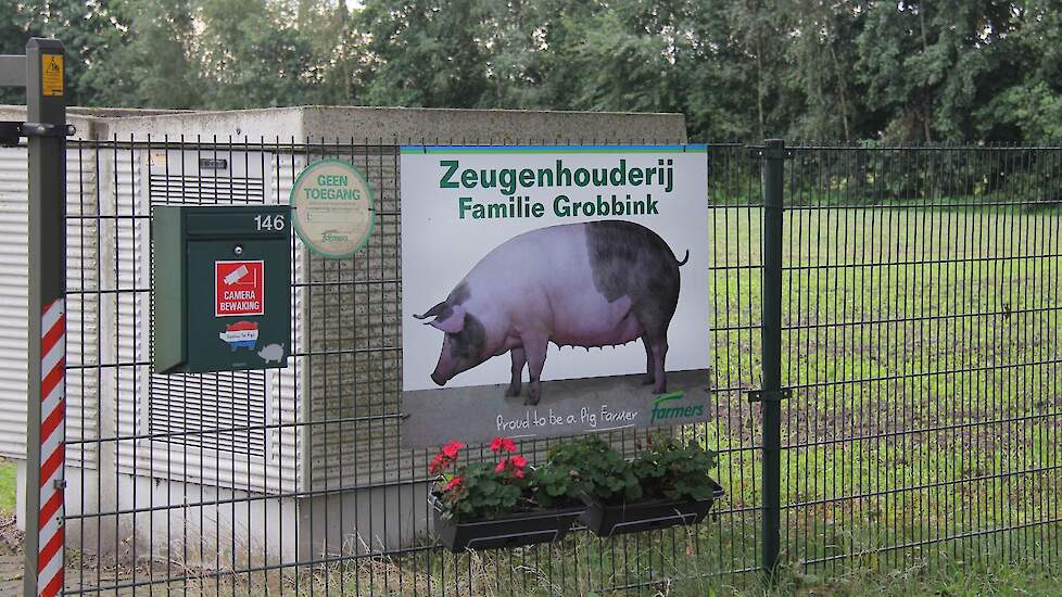 Op de thuislocatie was uitbreiden uitgesloten, toen verhuisden ze de zeugen, waarnaar hun hart uitgaat, naar deze nieuwe locatie. Ze bouwden er 13 jaar geleden nieuw en groeiden naar 800 zeugen. De speenbiggen bleven vooraleerst op de thuislocatie. Nu heb