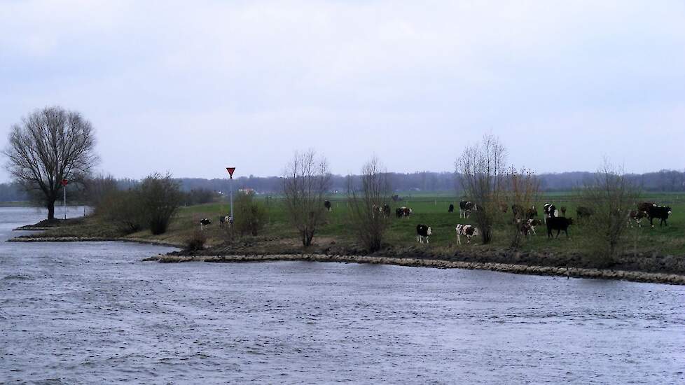 Hoogwater bij de IJssel.