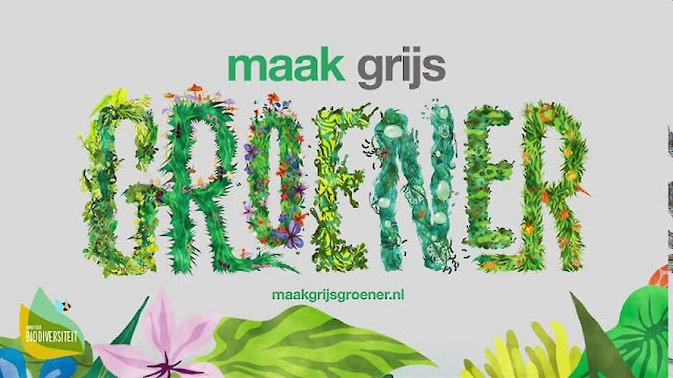 Maak Grijs Groener | Wat is biodiversiteit?