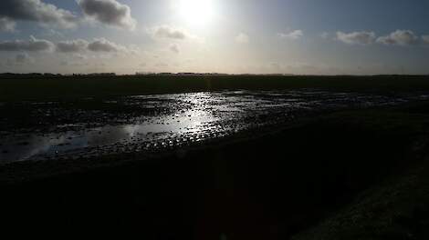Landbouwgrond in Groningen