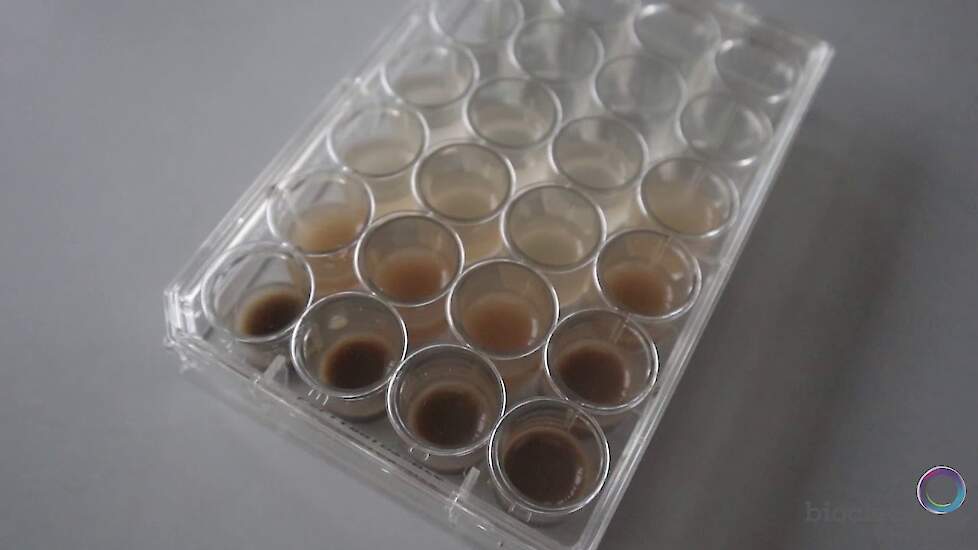 Bioclear earth bodemgezondheid