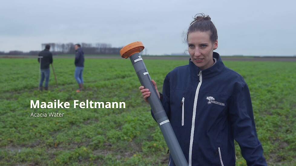 Video project verzilting