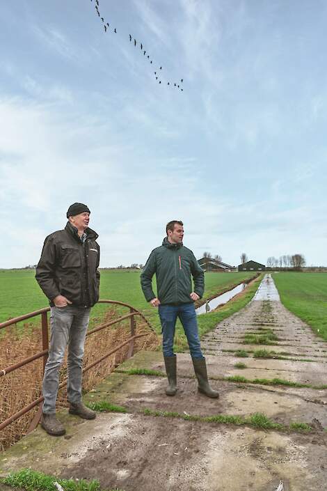 Hoekstra bepaalt samen met weidevogelcoördinator Henk Oud waar ze het gras in stroken laten staan.