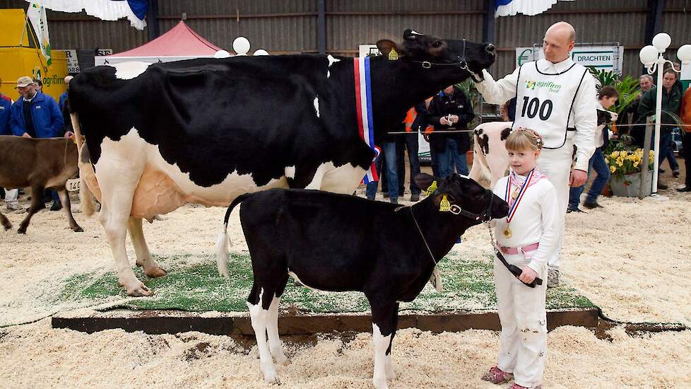 Afbeelding van de Groninger Rundvee Show.