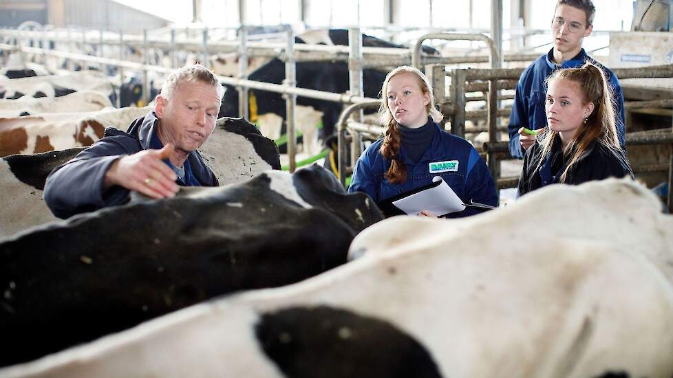 Van Hall Larenstein-docent Theun Brouwer met studenten bij een koe op de Dairy Campus in Goutum (FR).