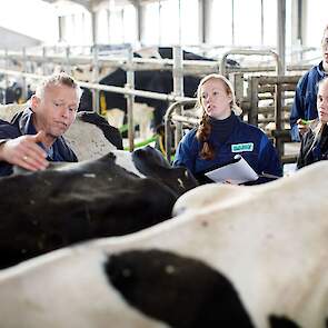 Van Hall Larenstein-docent Theun Brouwer met studenten bij een koe op de Dairy Campus in Goutum (FR).