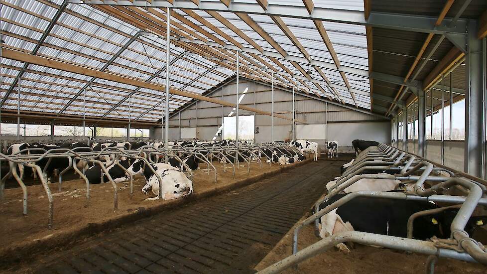 Boeren moeten de ruimte krijgen om te investeren in emissiearme stalsystemen, aldus LTO Noord.