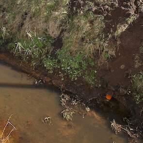 De drainage doet direct zijn werk; het water uit de eerste buizen loopt al de sloot in.