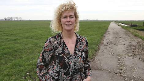 Onze Weidevogels › Column: Grutsk op us Greidefugels | Veld-post.nl - Landbouwnieuws voor Noord-Nede