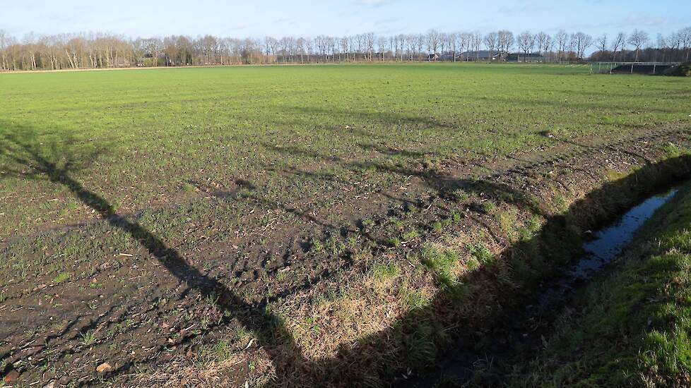 Het bedrijf heeft ook nog 24 hectare aan akkerland waar ze aardappelen, maïs en bieten telen.