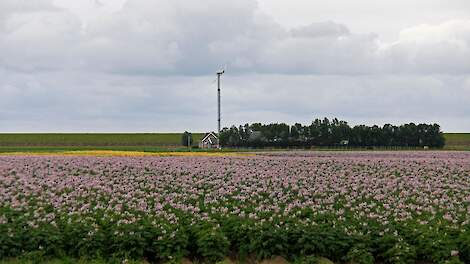 Kringlooplandbouw langs de Friese Waddenkust - Veldpost