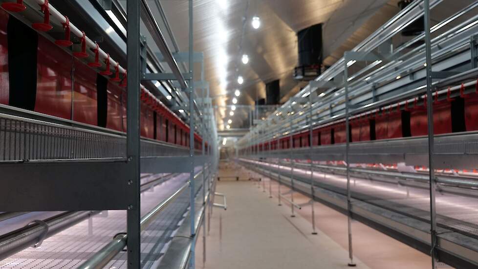 Franken koos voor het Bolegg Terrace volièresysteem van Vencomatic. „Ieder volièresysteem heeft zijn voor- en nadelen. De aanwezigheid van Q-Perch zitstokken die vogelmijten doden gaf de doorslag. We hebben niet de illusie dat we hierdoor geen last meer h