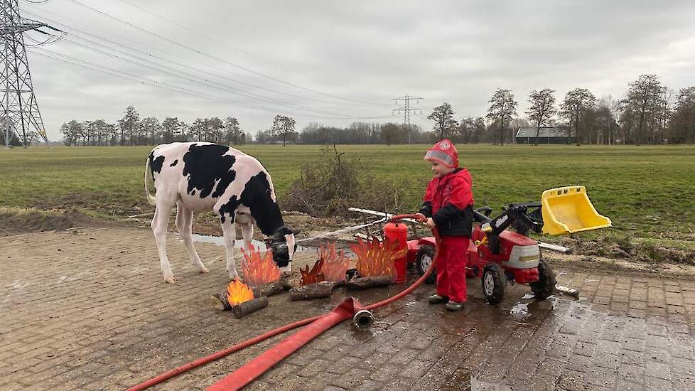 Harmen Veenstra is reserve kampioen geworden in de categorie Kalveren creatief.