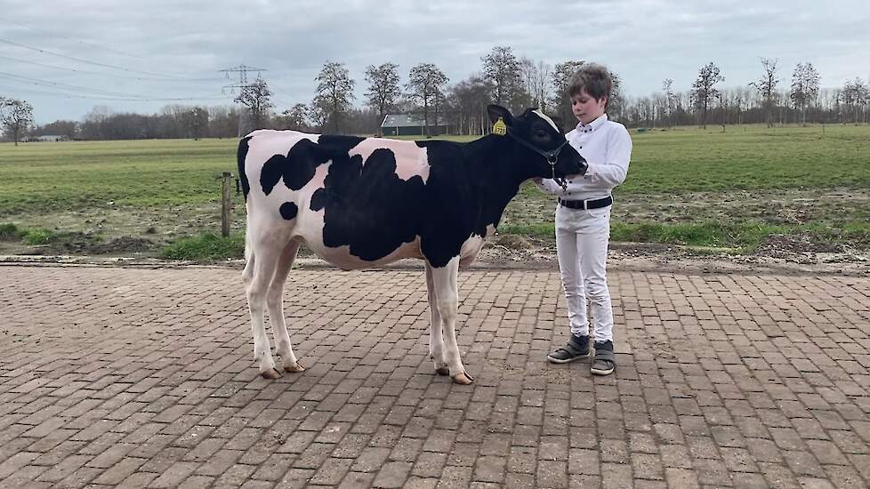 Exterieur Kalveren – Reserve Kampioen: Ramina (V. Big Malki) geb. 13-9-2020. Voorbrenger: Henk Jan Harkema, 11 jaar