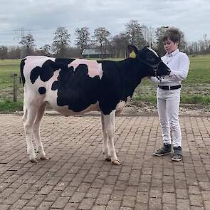 Exterieur Kalveren – Reserve Kampioen: Ramina (V. Big Malki) geb. 13-9-2020. Voorbrenger: Henk Jan Harkema, 11 jaar