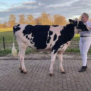 Exterieur Pinken – Kampioen: Sanne 37 (V. Duckett Crush Tatoo) geb. 24-11-2019. Voorbrenger: Renate Wubbema, 15 jaar