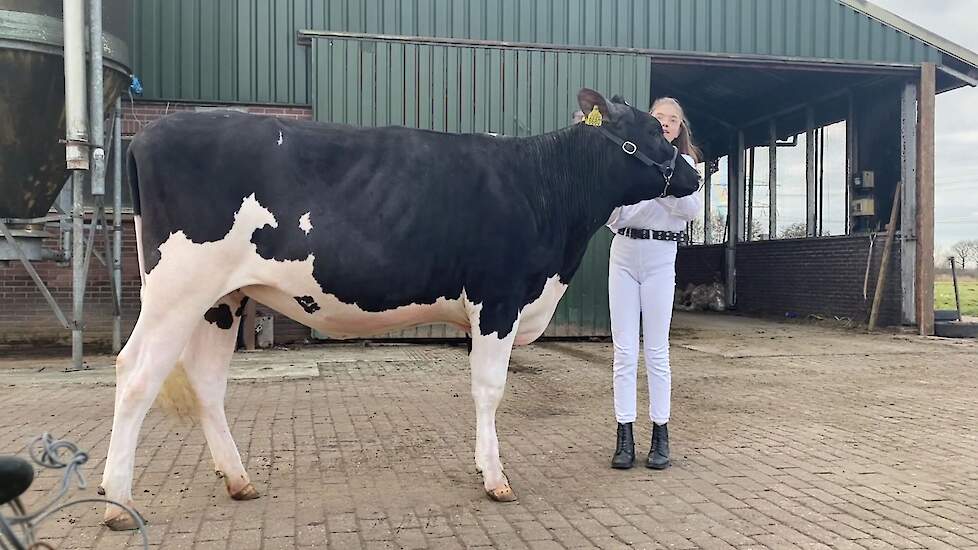 Showmanship Pinken – Reserve Kampioen: Loes Boomsma, 13 jaar