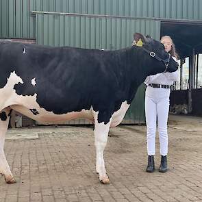 Showmanship Pinken – Reserve Kampioen: Loes Boomsma, 13 jaar