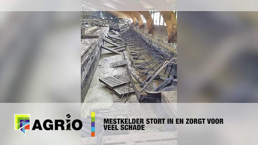 Mestkelder stort in en zorgt voor veel schade