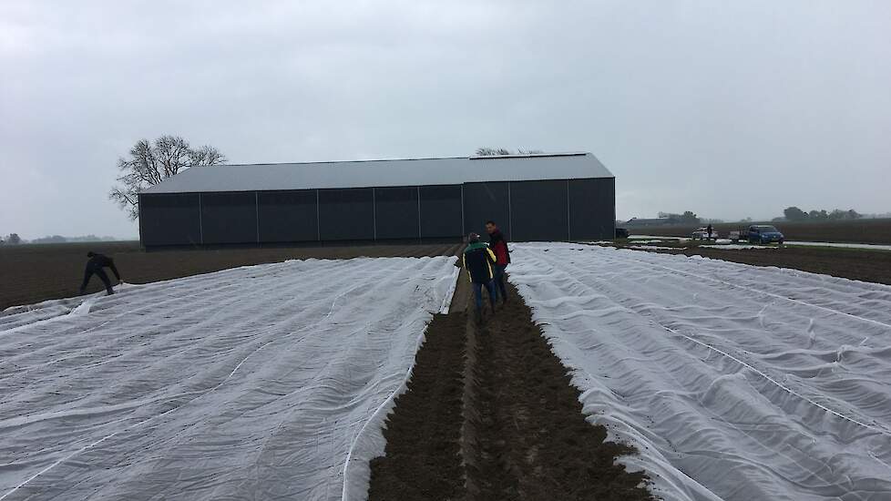 Het doek werd tegens teeltvervroegend, doordat de warmte langer blijft hangen.