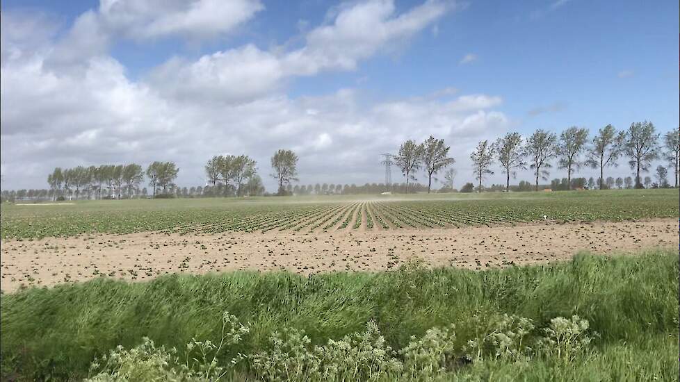 In verschillende delen van het land waaide afgelopen weekeinde een harde, schrale wind over de jonge gewassen.