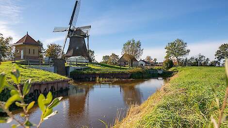 Provincie en waterschap in Fryslân stemmen in met veenweideprogramma | Veld-post.nl - Landbouwnieuws