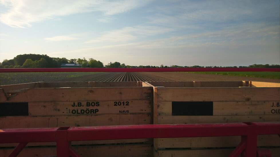 Bos teelt 40 hectare aardappelen voor Agrico, waarvan 32 hectare pootgoed. Daarnaast telen de akkerbouwers suikerbieten en tarwe.