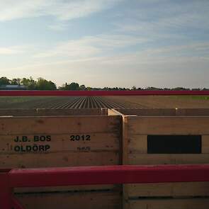 Bos teelt 40 hectare aardappelen voor Agrico, waarvan 32 hectare pootgoed. Daarnaast telen de akkerbouwers suikerbieten en tarwe.
