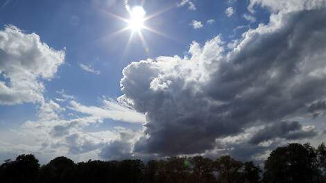 Veehouders zijn voorbereid op hitte | Veld-post.nl - Landbouwnieuws voor Noord-Nederland - Veldpost