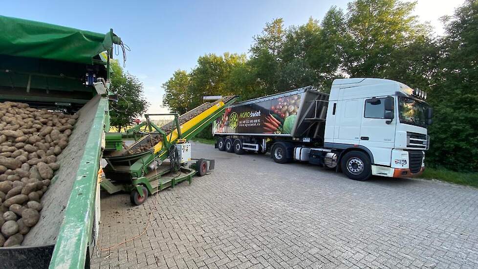 De kwaliteit van de aardappelen is goed, vindt Van Damme. Hij oogstte naar schatting 57 ton netto per hectare.