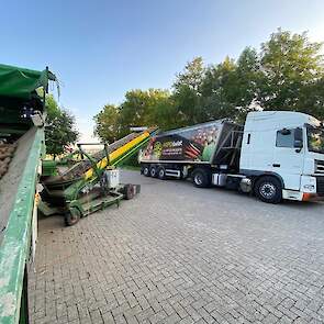 De kwaliteit van de aardappelen is goed, vindt Van Damme. Hij oogstte naar schatting 57 ton netto per hectare.