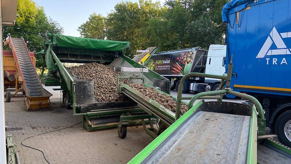 De aardappelen worden verwerkt tot frites.