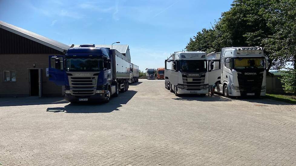 Vrachtwagens in de wachtrij op het erf van Van Damme.