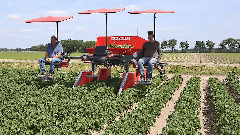 De stoelen kunnen naar buiten worden geschoven, waardoor er ruimte ontstaat voor een derde persoon.