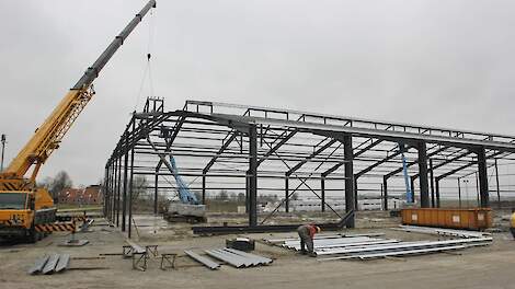 Woning nicht stoort ooms veehouderij Scharsterbrug (FR) niet | Veld-post.nl - Landbouwnieuws voor No