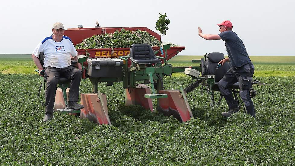 De eerste veldkeuring is sinds dit jaar niet meer oriënterend maar is gelijk bindend. „Ik maak me daar geen zorgen over, maar ja, je weet het nooit”, aldus Berghuis.