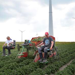 De mannen selecteren doorgaans met z’n tweeën. Als er meer werk in zit, komt broer Roelof Berghuis er bij.