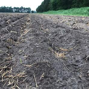 Er liggen drie demostroken met verschillende meststoffen en stimulanten: N24 (een ureummeststof met 24 procent stikstof), N24 in combinatie met Ferti-release (een bacterie die niet beschikbare nutriënten plantbeschikbaar maakt) en Ferti-release met Ferti-