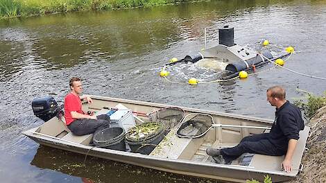 Terwijl de dode vissen uit het water worden gehaald, brengt een beluchtingsapparaat het zuurstofgehalte weer op peil.