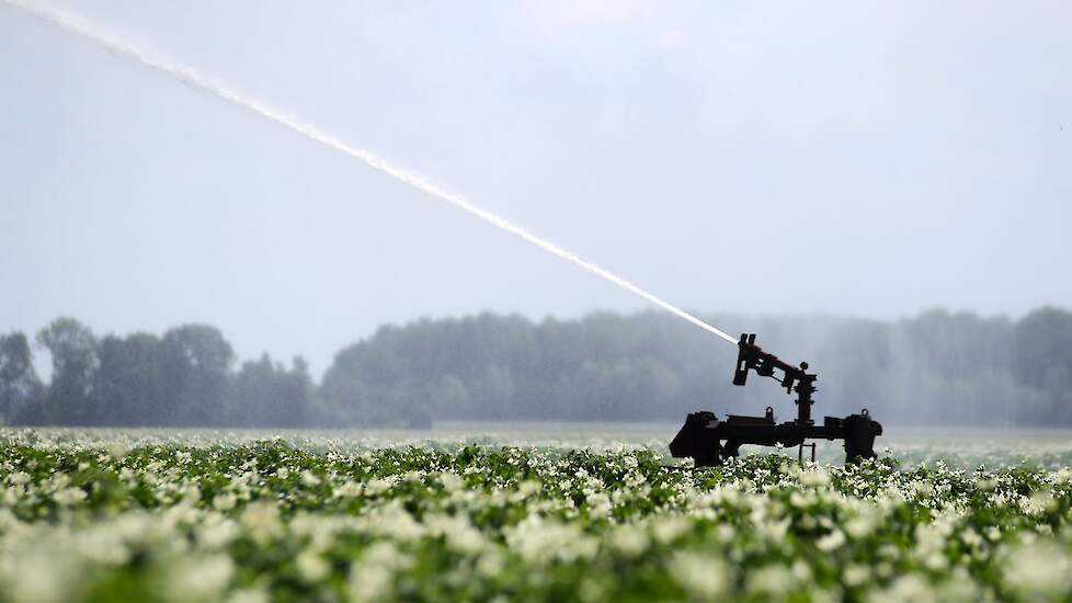 In het stroomgebied van de Drentsche Aa mogen hoogsalderende gewassen niet worden beregend vanuit oude grondwaterputten.