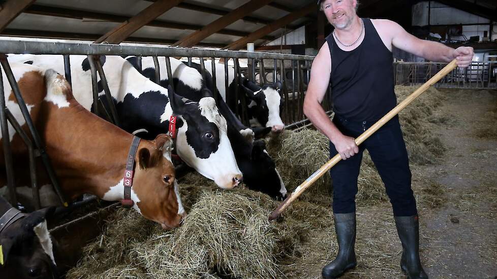 Sander Bouma: „Ons bedrijf telt 240 stuks melkvee, waarvan 30 droge koeien. Het jongvee hebben we uitbesteed."