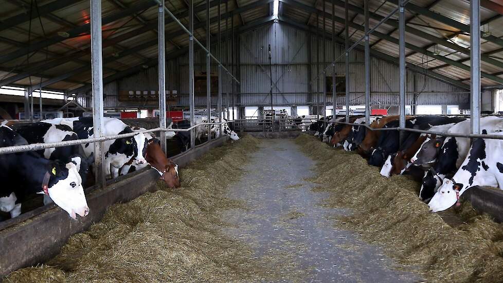 Om de melkveesector te promoten, en de burger hierbij te betrekken, zijn live-camerabeelden uit de stal te zien in alle Margje24-ijssalons.