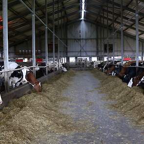 Om de melkveesector te promoten, en de burger hierbij te betrekken, zijn live-camerabeelden uit de stal te zien in alle Margje24-ijssalons.