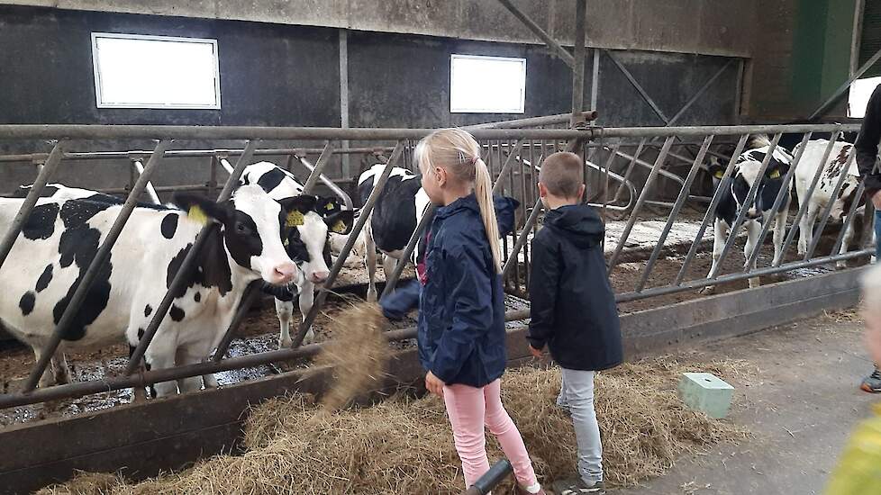 Stal Beekdal uit Borger