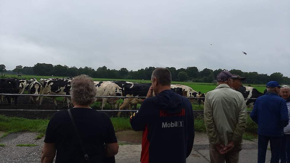 Melkveebedrijf Warringa uit Nooitgedacht