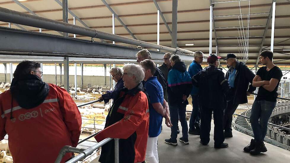 Geitenbedrijf Feddema uit Borger