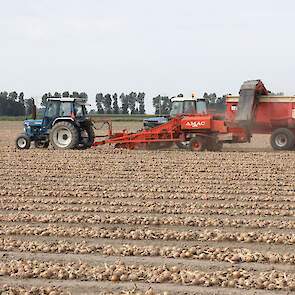 Daling en De With rijden op de kipper en Stehouwer rijdt zelf met de uienlader.