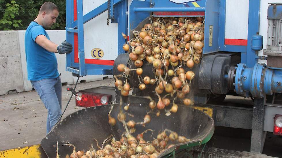 De uien zijn van Waterman Onions BV uit Emmeloord. Het pakstation huurt al drie jaar opslag bij Stehouwer. „Ik heb de schuur op de groei gebouwd en heb op het moment meer opslagruimte dan ik zelf nodig heb. Hierdoor kan ik die ruimte aan derden verhuren.”
