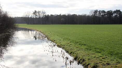 Waarom kondigt LNV generiek beleid af terwijl veel gebieden in Nederland goed op de kaart staan wat betreft de waterkwaliteit?, is één van de veelgehoorde kritieken op het nitraatplan.